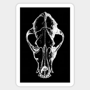 Wolf Skull Magnet